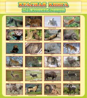 Стенд "Красная книга - млекопитающие" - fgospostavki.ru - Грозный