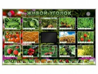 Комплект оборудования "Живой уголок" (растения) - fgospostavki.ru - Грозный
