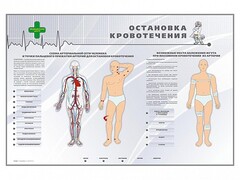 Электрифицированный стенд "Остановка кровотечения" - fgospostavki.ru - Грозный