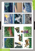 Комплект таблиц. Окружающий мир. Летние и осенние изменения в природе. - fgospostavki.ru - Грозный