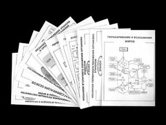 Комплект таблиц для 9-11 классов "Валеология и органическая химия" Комплект 2 - fgospostavki.ru - Грозный