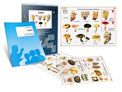 Комплект кодотранспарантов "Грибы" - fgospostavki.ru - Грозный