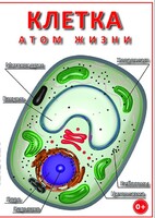 DVD "Клетка - "атом жизни" - fgospostavki.ru - Грозный
