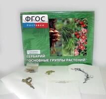 Гербарий "Основные группы растений" (52 листа) - fgospostavki.ru - Грозный