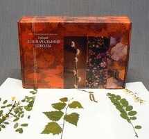 Гербарий для Начальной школы (28 видов) - fgospostavki.ru - Грозный