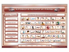 Трехсекционный базовый комплект "Травмы. Кровотечения. Ожоги" для учащихся общеобразовательных учреждений - fgospostavki.ru - Грозный