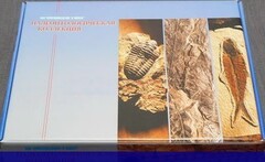 Коллекция "Палеонтологическая" (16 образцов) - fgospostavki.ru - Грозный