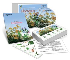 Комбинированное наглядное пособие «Растения» - fgospostavki.ru - Грозный