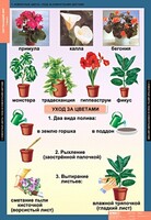 Комплект таблиц. Окружающий мир 1 класс. - fgospostavki.ru - Грозный