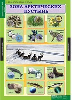 Комплект таблиц. Окружающий мир 4 класс. - fgospostavki.ru - Грозный