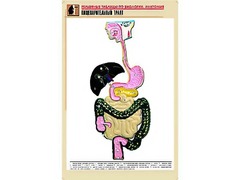 Рельефная таблица "Пищеварительный тракт" (формат А1, матовое ламинирование) - fgospostavki.ru - Грозный