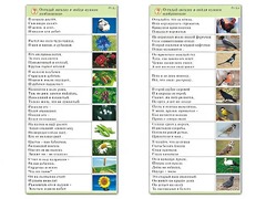 Комплект карточек (10) "Обучающий калейдоскоп. Природа" - fgospostavki.ru - Грозный