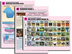 Комплект таблиц по географии "Природа материков и океанов" раздаточные (цветные, ламинированные, А4, 12 штук) - fgospostavki.ru - Грозный