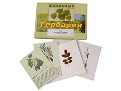 Гербарий "Деревья и кустарники" (22 вида, с иллюстрациями) - fgospostavki.ru - Грозный