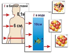 Модель-аппликация "Явление радиоактивности" (ламинированная) - fgospostavki.ru - Грозный