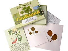 Гербарий "Систематика растений. Семейство Розоцветные" (раздаточный) - fgospostavki.ru - Грозный
