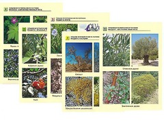 Гербарий фотографический по географии - fgospostavki.ru - Грозный