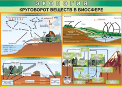 Таблица "Круговорот веществ в биосфере" (100х140 сантиметров, винил) - fgospostavki.ru - Грозный