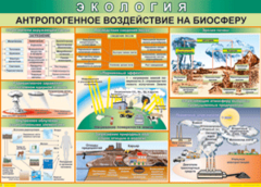 Таблица "Антропогенное воздействие на биосферу" (100х140 сантиметров, винил) - fgospostavki.ru - Грозный