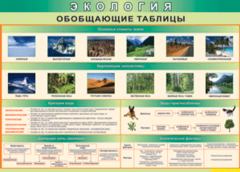 Таблица "Экология. Обобщающие таблицы" (100х140 сантиметров, винил) - fgospostavki.ru - Грозный