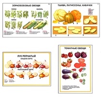 Плакаты ПРОФТЕХ "Ассортимент овощных культур" (12 пл, винил, 70х100) - fgospostavki.ru - Грозный