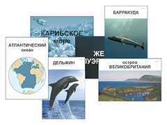 Модель-аппликация "Океаны. Знакомство" (ламинированная) - fgospostavki.ru - Грозный