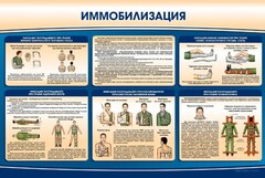 Стенд "Иммобилизация" - fgospostavki.ru - Грозный