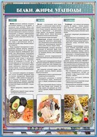 Стенд "Белки. Жиры. Углеводы" - fgospostavki.ru - Грозный