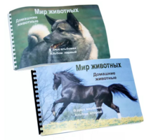 Пособие для слабовидящих - Домашние животные - fgospostavki.ru - Грозный
