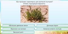 Интерактивные курсы. Окружающий мир 3 класс . Базовый. - fgospostavki.ru - Грозный