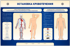 Электрифицированный стенд-тренажер "Остановка кровотечения" - fgospostavki.ru - Грозный