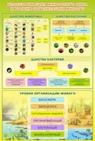 Стенд "Классификация животного мира" - fgospostavki.ru - Грозный