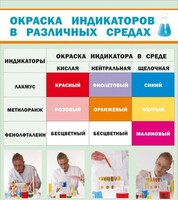 Стенд "Окраска индикаторов в различных средах" - fgospostavki.ru - Грозный