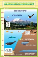 Стенд "Строение биосферы" - fgospostavki.ru - Грозный