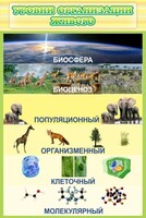 Стенд "Уровни организации живого" - fgospostavki.ru - Грозный