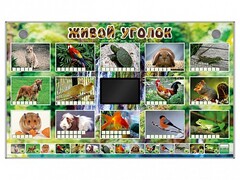 Комплект оборудования "Живой уголок" (животные) - fgospostavki.ru - Грозный