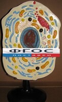 Модель "Клетка животного" - fgospostavki.ru - Грозный