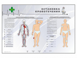 Электрифицированный стенд "Остановка кровотечения" - fgospostavki.ru - Грозный