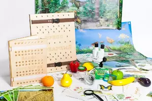 Учебно-методический набор для проектной деятельности в ДОО №1–ЕН (химия, биология, анатомия)  - fgospostavki.ru - Грозный