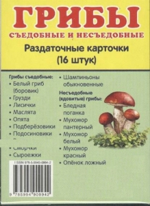 Раздаточные карточки "Грибы съедобные и не съедобные" - fgospostavki.ru - Грозный