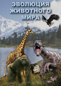 DVD "Эволюция животного мира" - fgospostavki.ru - Грозный