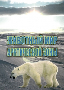 DVD "Животный мир Арктической зоны" - fgospostavki.ru - Грозный