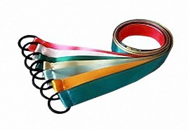 Лента гимнастическая на кольце (1 метр) - fgospostavki.ru - Грозный