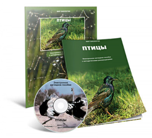 Электронное наглядное пособие «Птицы» - fgospostavki.ru - Грозный