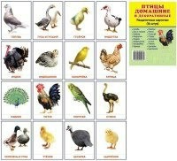 Раздаточные карточки "Птицы домашние и декоративные" - fgospostavki.ru - Грозный
