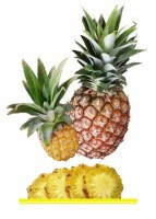 Комплект карточек "Запоминай, играй, считай" - Фрукты - fgospostavki.ru - Грозный