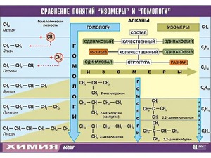 Таблица демонстрационная "Сравнение понятий изомер и гомолог" (винил 70x100) - fgospostavki.ru - Грозный