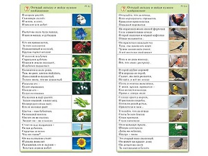 Комплект карточек (10) "Обучающий калейдоскоп. Природа" - fgospostavki.ru - Грозный