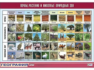 Таблица демонстрационная "Почвы, растения и животные природных зон" (винил 70*100) - fgospostavki.ru - Грозный