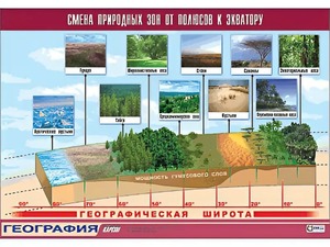 Таблица демонстрационная "Смена природных зон от полюсов к экватору" (винил 70*100) - fgospostavki.ru - Грозный